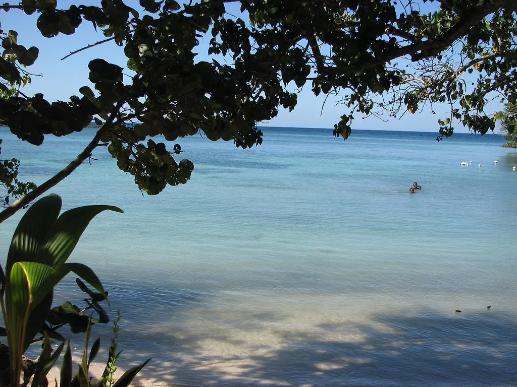T&T - Tatty And Tony Guesthouse Negril Apartment