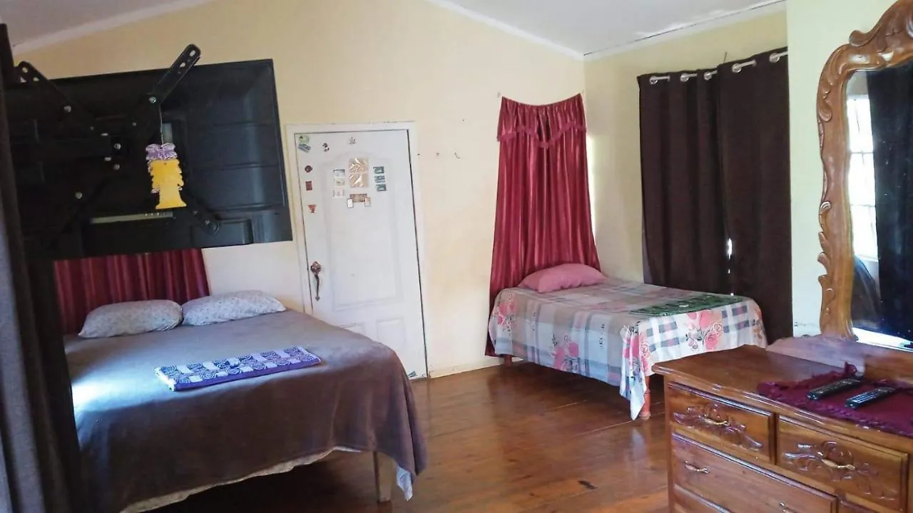 T&T - Tatty And Tony Guesthouse Negril Apartment