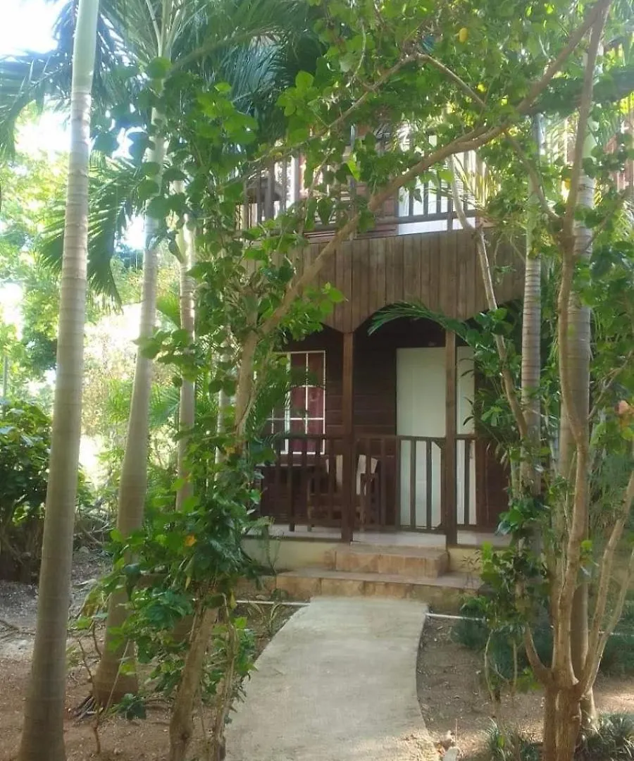 Apartment T&T - Tatty And Tony Guesthouse Negril Jamaica