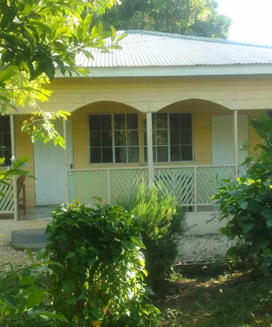 T&T - Tatty And Tony Guesthouse Negril Jamaica